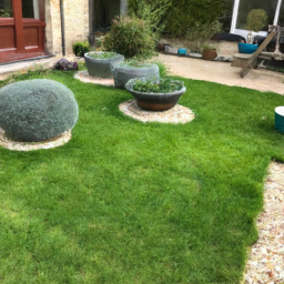 Techniques de taille pour maintenir un jardin esthétique et en bonne santé Colomiers